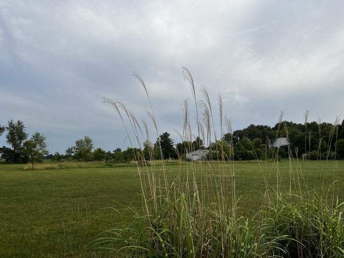 M-60 Drive-In Theatre - July 2 2022 Photo